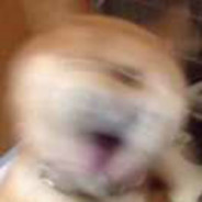 马良笔下的理想型