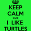 -:TurtlePower:-