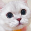 Hideo