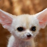 夏汐月爱打电动