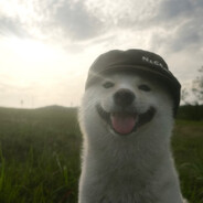 AAA电机维修雨师傅