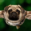 harrywfurlong
