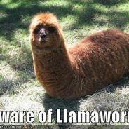 Llama Worm