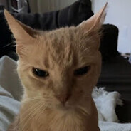 wanerikz - steam id 76561198009095631