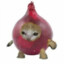 onion cat