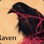 Raven