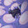 Sho The Fat Espeon's Avatar
