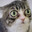 squeesito7