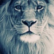TEPi - steam id 76561197961422285