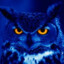 BlueOwlBaby