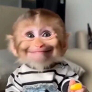 MoNkEy22