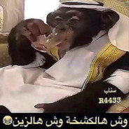 Arab Monkey