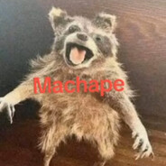 LicSpringas