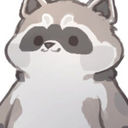 Raccoon