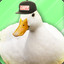 CaptainQuacker1