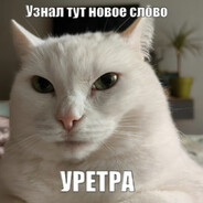 Бильбо Бэгинс - steam id 76561199059351655