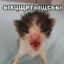 ыхцщитыщсьы