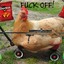 Le Great Chicken