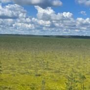 izvini bratan sportsmeni