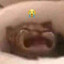 P么ND么