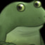 mr. frog boy