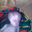 atomicBaby_94
