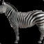 ZebraGuy6969