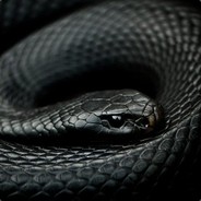SikicSSJ3