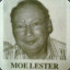 Moe-Lester