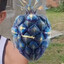 FRUNBUS ESCAFLETADO
