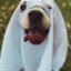 ghostdog