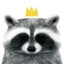 raccoonmonarchy