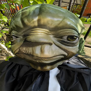 Player avatar