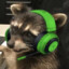 Gamerraccoon