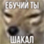 Boec_Voin_Wolk_Geroy_VDV