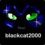 blackcat2000