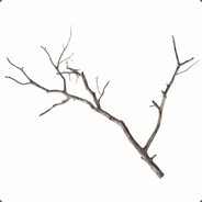 Brisingr Fenix - steam id 76561198182049150