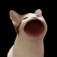 meow