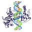 Topoisomerase