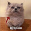 дудоня