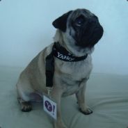 ﺔﻬﻮ.#'ĸəг׀΄1°>°