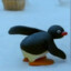 Penguu