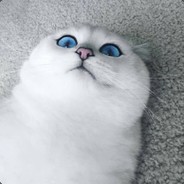 Leonardo di ser Piero da Vinci