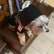 «tR14» - steam id 76561198232138736