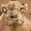 The Filthy Pesky Camel