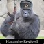 THAT HARAMBE