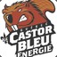 Le Castor Bleu