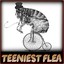 Teeniest Flea