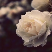 别怪我滑 对面太强