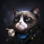 zT_ZIGGS Steam avatar